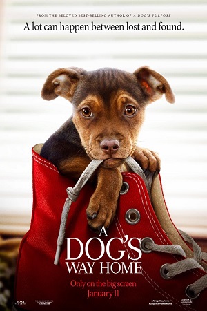 Download A Dogs Way Home (2019) Dual Audio (Hindi-English)