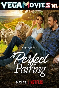  A Perfect Pairing (2022) Dual Audio {Hindi-English} 480p [400MB] | 720p [920MB] | 1080p [2GB]