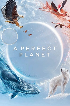 Download A perfect Planet (Season 1) Dual Audio Complete Web Series Esubs