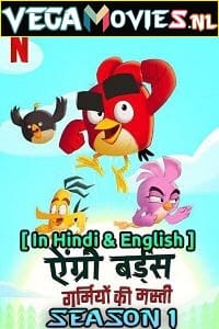 Download  Angry Birds: Summer Madness (2022) Season 1 Dual Audio {Hindi-English} Netflix Original WEB Series 480p | 720p WEB-DL