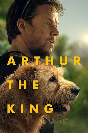 Download  Arthur the King (2024) BluRay Dual Audio {Hindi-English} 480p [530MB] | 720p [1.2GB] | 1080p [2.9GB]