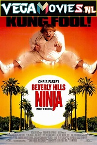 Download  Beverly Hills Ninja (1997) Dual Audio {Hindi-English} 480p [300MB] | 720p [1GB]