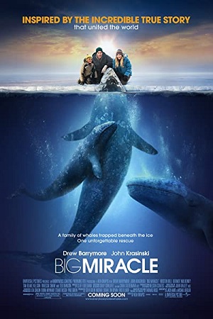 Download  Big Miracle (2012) Dual Audio {Hindi-English} 480p [500MB] | 720p [1GB] | 1080p [2GB]