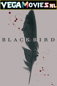 Download Black Bird (2022) Season 1 Appletv+ Original HEVC WEB-DL