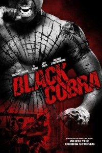 Download Black Cobra (2012) Dual Audio (Hindi-English) BluRay