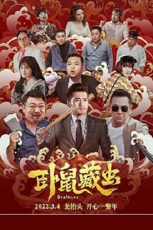 Download Brothers (2022) WEB-DL Dual Audio (Hindi-Chinese)