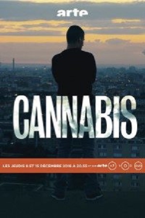 Download Cannabis (2016) Season 1 Hindi Complete MX Original WEB Series HDRip