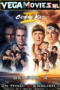 Download Cobra Kai – Netflix Original (2021) Season 4 Dual Audio (Hindi-English) WEB-DL