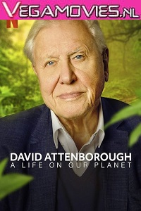 Download  NetFlix David Attenborough: A Life on Our Planet (2020) English 480p [400MB] | 720p [800MB]