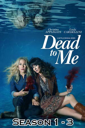 Download  Dead To Me (Season 1 – 3) Dual Audio [Hindi - English] Complete Netflix Web Series 720p [200MB]