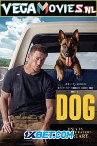 Download Dog (2021) Hindi Full Movie WEBRip