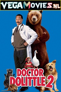 Download  Dr. Dolittle 2 (2001) Dual Audio [Hindi - English] WeB-DL 480p [250MB] | 720p [800MB] | 1080p [2.7GB]