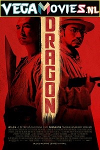 Download  Dragon (2011) Dual Audio {Hindi-English} 480p [300MB] | 720p [750MB]