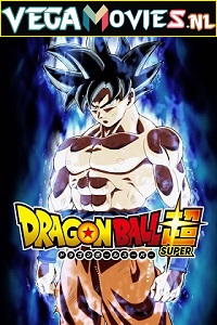 Download Dragon Ball Super (Season 2) Dual Audio (Hindi-English) Anime Series WEB-DL