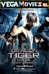 Download Dragon Tiger Gate (2006) Dual Audio (Hindi-Chinese)