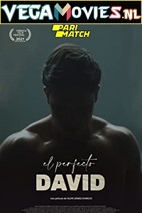  El Perfect David (2021) Hindi Voice Over Full Movie WEB-DL 720p [1GB]