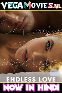 Download Endless Love (2014) Dual Audio (Hindi-English)