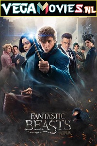 Download  Fantastic Beasts and Where to Find Them (2016) Dual Audio {Hindi-English} 480p [450MB] | 720p [1GB] | 1080p [3GB] | 2160p [5GB]