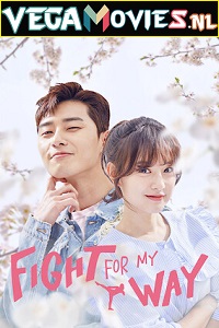 Download  Fight For My Way (Season 1) Dual Audio {Hindi - Korean} Complete WEB Series 480p [180MB] | 720p [400MB] WEB-DL