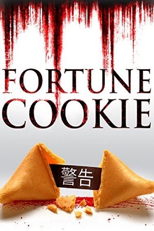 Download  Fortune Cookie (2016) Dual Audio {Hindi-English} 480p [320MB] WEB-DL 720p [1.2GB]