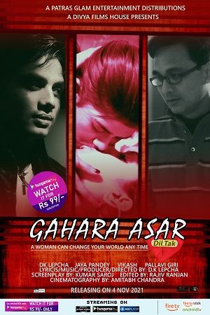 Download  Gahara Asar Dil Tak (2021) Hindi Full Movie 480p [300MB] | 720p [800MB]