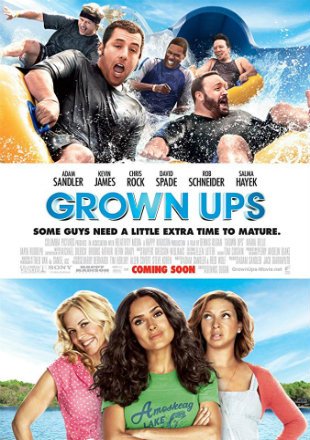 Download Grown Ups (2010) Dual Audio Hindi