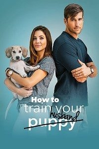 Download How to Train Your Husband (2018) Dual Audio (Hindi-English) BluRay