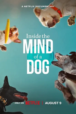 Download  Inside The Mind Of A Dog (2024) WEB-DL Dual Audio {Hindi-English} 480p [250MB] | 720p [690MB] | 1080p [1.6GB]