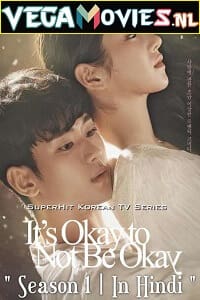 Download  Its Okay to Not Be Okay (Season 1) Dual Audio [Hindi-Korean] Complete Netflix Web Series 480p [200MB] | 720p [500MB]