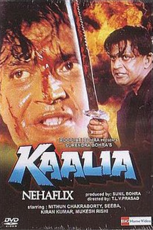 Download Kaalia (1997) Hindi Full Movie WEB-DL