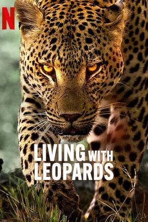  Living with Leopards (2024) {English with Subtitles} Full Movie WEB-DL 480p [200MB] | 720p [570MB] | 1080p [1.3GB]