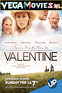 Download Love Finds You in Valentine (2016) Dual Audio (Hindi-English)