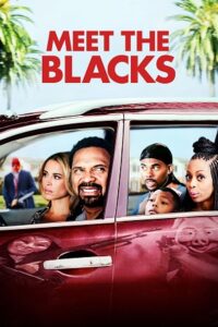 Download Meet the Blacks (2016) BluRay Dual Audio (Hindi-English)