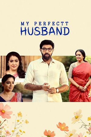 Download My Perfectt Husband (2024) Hindi Season 1 Complete Hotstar Special WEB Series WEB-DL