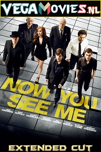 Download Now You See Me (2013) BluRay Dual Audio (Hindi-English)