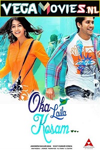  Oka Laila Kosam (Love Action Dhamaka) (2014) Dual Audio [Hindi-Telugu] WeB-DL 480p [500MB] | 720p [1.3GB] | 1080p [2.5GB]