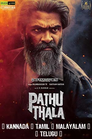 Download  Pathu Thala (2023) Multi Audio [Kannada - Tamil - Malayalam - Telugu] WeB-DL 480p [650MB] | 720p [1.4GB] | 1080p [3.2GB]