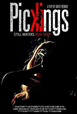 Download Pickings (2018) Dual Audio (Hindi-English)