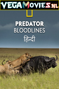 Download Predator Bloodlines (2021) Season 1 Hindi Complete DSNP WEB Series HDRip