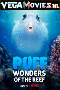 Download  Puff: Wonders of the Reef (2021) Dual Audio {Hindi-English} 720p [350MB] HEVC HDRip