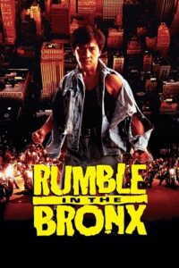 Download  Rumble In The Bronx (1995) BluRay Dual Audio {Hindi-English} 480p [300MB] | 720p [800MB] | 1080p [2GB]