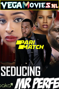 Download Seducing Mr. Perfect (2019) Hindi Voice Over Full Movie WEB-DL