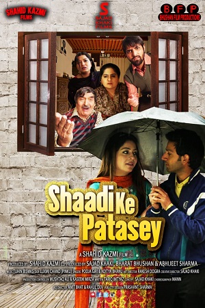 Download Shaadi Ke Patasey (2019) Hindi Full Movie WEB-DL