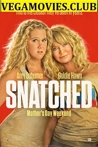 Download Snatched (2017) Dual Audio (Hindi-English)