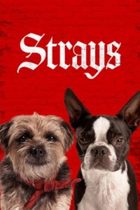 Download Strays (2023) Dual Audio BluRay