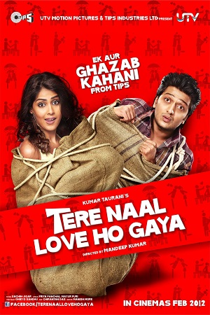 Download Tere Naal Love Ho Gaya (2012) Hindi Full Movie