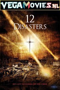 Download  The 12 Disasters of Christmas (2012) Dual Audio {Hindi-English} 480p [300MB] | 720p [1.2GB]