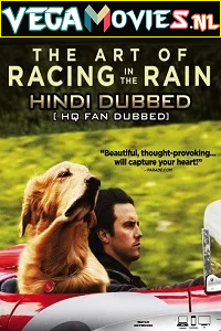 Download  The Art of Racing in the Rain (2019) Dual Audio {Hindi-English} 480p [350MB] | 720p [1GB]