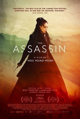 Download The Assassin (2015) Dual Audio (Hindi-English)