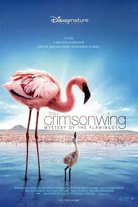 Download The Crimson Wing Mystery of the Flamingos (2008) Dual Audio (Hindi-English)